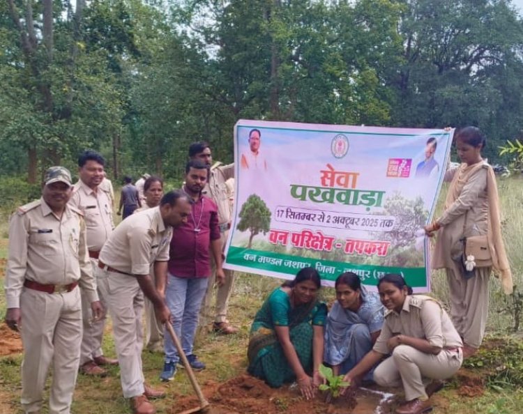 हटाये गये अवैध अतिक्रमण एवं किया गया पौध रोपण 