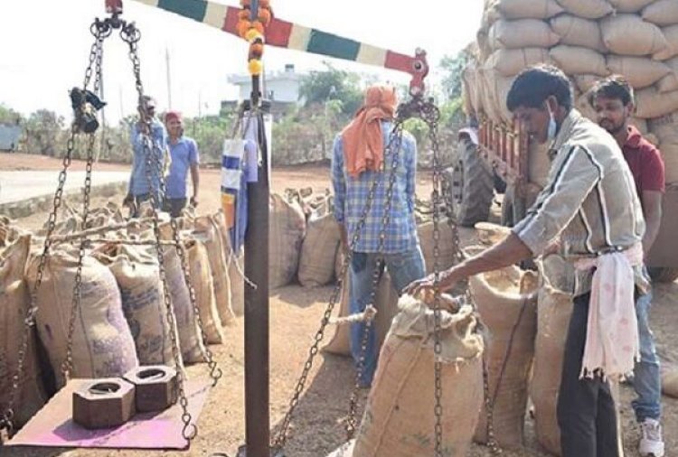 प्रदेश में धान खरीदी जारी, राज्य में अब तक उपार्जित किए गए 23.67 लाख क्विंटल धान