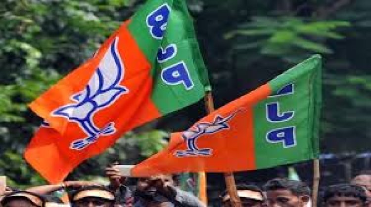 Breaking : BJP ने इस जिले में की पदाधिकारियों की घोषणा, जानिए किसे क्या जिम्मेदारी मिला?