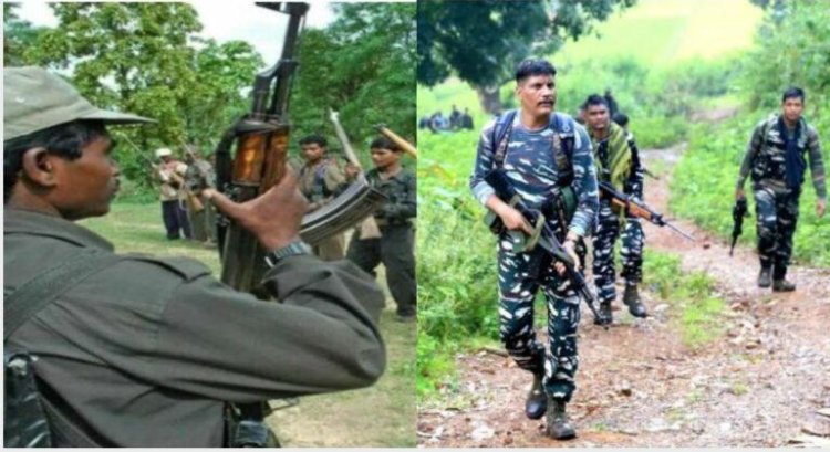 साल 2025 में नक्सलियों को हुआ सबसे बड़ा नुकसान, 11 महीने में मारे गए 320 नक्सली : PLGA