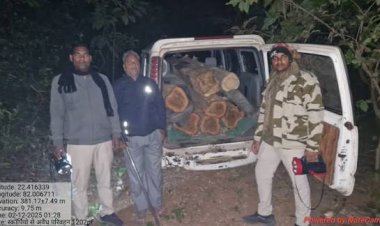 बिलासपुर के जंगलों में बड़े पैमाने पर सागौन लकड़ी की तस्करी हो रही