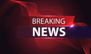 छत्तीसगढ़ के बालोद जिले में मवेशी बेचने बाजार जा रहे पिकअप सवार 3 युवकों को हमलावरों ने जमकर पीटा