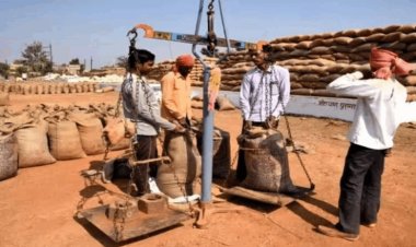 अब तक 17.24 लाख टोकन से 87 लाख टन धान की हुई खरीदी, 7,771 करोड़ रुपए का भुगतान