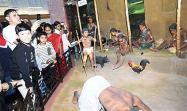 जनजातीय स्वतंत्रता संग्राम सेनानी संग्रहालय का उद्देश्य हो रहा सार्थक, देश-विदेश के पर्यटक आ रहे हैं संग्रहालय