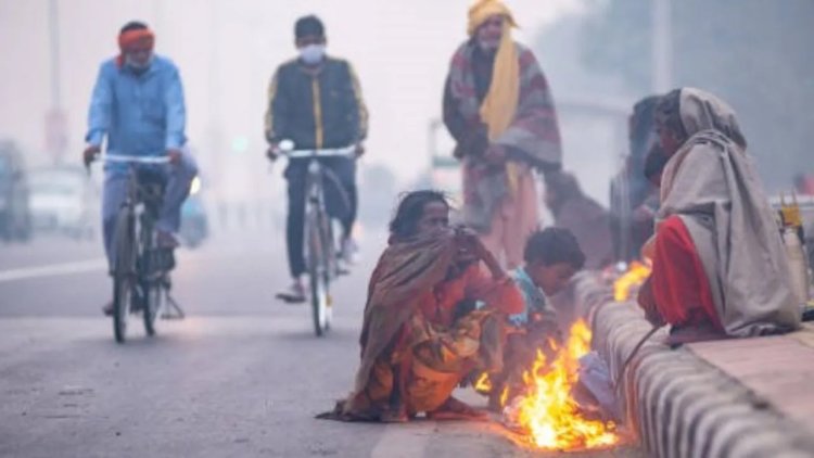 यूपी में ठंड का कहर बरकरार! 31 दिसंबर को शीतलहर और घना कोहरा, नए साल पर इन 14 जिलों में बारिश का अलर्ट