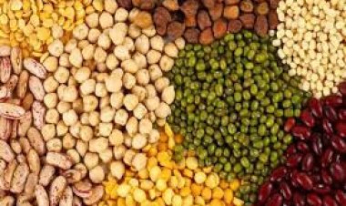 खरीफ 2025-26 के लिए बड़ी राहत: छत्तीसगढ़ में तुअर, उड़द, मूंग, सोयाबीन और मूंगफली की एमएसपी पर खरीद को मंजूरी