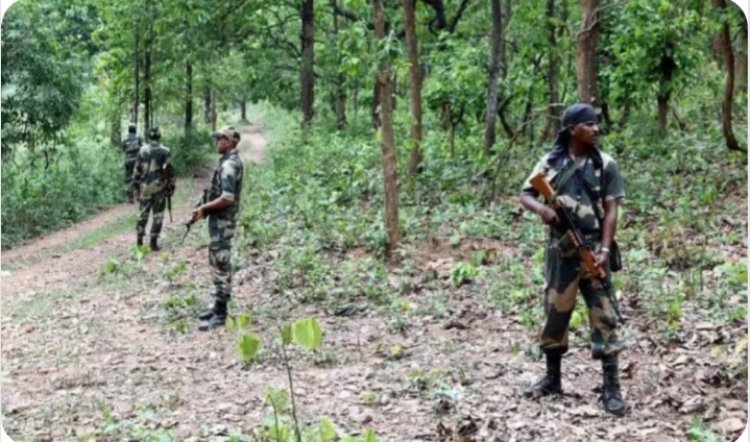 बीजापुर मुठभेड़: 2 माओवादियों के शव बरामद, AK-47 और 9MM पिस्टल समेत हथियार मिले