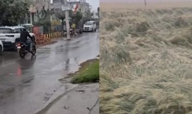 मध्य प्रदेश में बदला मौसम, भोपाल-उज्जैन समेत 20 जिलों में बारिश, फसलों को पहुंचा नुकसान