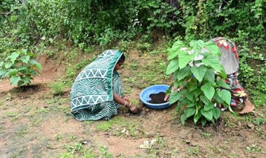 घरों की बाड़ी से महिलाओं की आर्थिक स्थिति मजबूत हो रही