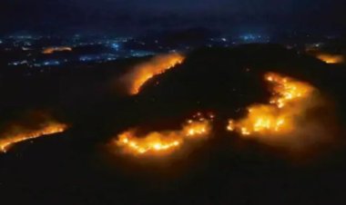 महुआ के लिए जल रहे जंगल-पहाड़: छत्तीसगढ़ की हरियाली पर दावानल का साया, महुआ बीनने के लिए लगाई जा रही आग