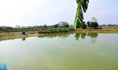 मछलीपालन और कृषि से ग्राम पल्ली के किसान पाकलू मरकाम हुए सशक्त