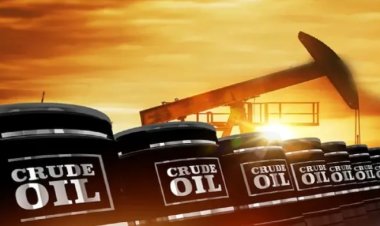 CRUDE OIL PRICE FALL : क्रूड ऑयल में बड़ी गिरावट