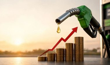 Petrol Diesel Price : क्या चुनाव के बाद बढ़ जाएगा पेट्रोल-डीजल...मोदी सरकार ने किया साफ, जानें क्या कहा?