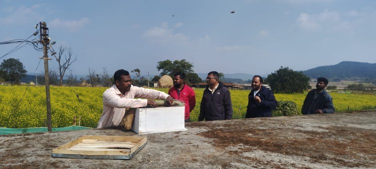 किसानों के लिए मधुमक्खी पालन कम लागत में ज्यादा मुनाफा 