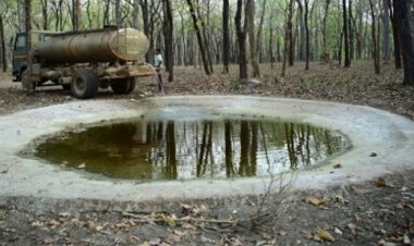भीषण गर्मी में वन्यजीवों के लिए संजीवनी बना बारनवापारा, जल प्रबंधन का ऐसा मॉडल जो पूरे देश के लिए बना मिसाल