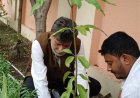 भाजपा प्रदेश अध्यक्ष किरण देव ने रायपुर निवास पर किया पौधरोपण