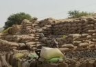 CHHATTISGARH : 27,900 क्विंटल धान गायब से हड़कंप