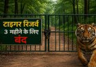 पर्यटकों को बड़ा झटका ! छत्तीसगढ़ में आज से 3 महीने तक बंद रहेंगे टाइगर रिजर्व, राष्ट्रीय उद्यान और अभयारण्य