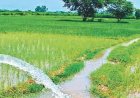 घुघरी कला नाला व्यपवर्तन योजना के लिए 4.58 करोड़ स्वीकृत, 200 हेक्टेयर में मिलेगी सिंचाई की सौगात