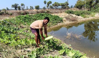 डबरी से समृद्धि : मत्स्य पालन और सब्जी उत्पादन से आत्मनिर्भर बने किसान वासम अब्बैया