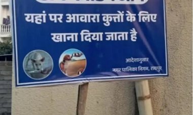 स्ट्रीट डॉग के लिये निगम ने चिन्हांकित किये फीडिंग जोन