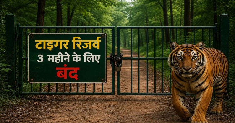 पर्यटकों को बड़ा झटका ! छत्तीसगढ़ में आज से 3 महीने तक बंद रहेंगे टाइगर रिजर्व, राष्ट्रीय उद्यान और अभयारण्य