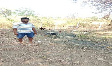 पशुपालन विभाग की ऋण योजना से बदली किसान की किस्मत, मुर्गी पालन से हुआ आर्थिक बदलाव