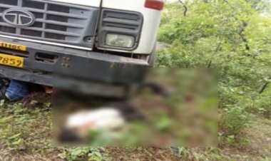 ब्रेकिंग : तेज रफ्तार ट्रक ने बाइक सवार तीन युवकों को रौंदा, 2 की मौके पर मौत, एक की हालत गंभीर