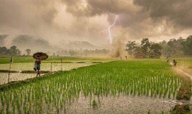 weather update: मानसून पर लगा ब्रेक, छत्तीसगढ़ में अगले 2 दिन बारिश के आसार नहीं, जानिए कब होगी वापसी