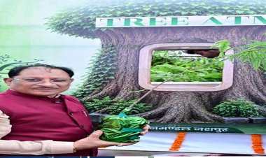 आज लगाया गया हर पौधा आने वाली पीढ़ियों के सुरक्षित भविष्य का आधार बनेगा : मुख्यमंत्री साय