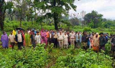 वन भूमि पर अतिक्रमण का प्रयास विफल, 3 हेक्टेयर क्षेत्र में 5 000 पौधों का किया गया वृक्षारोपण