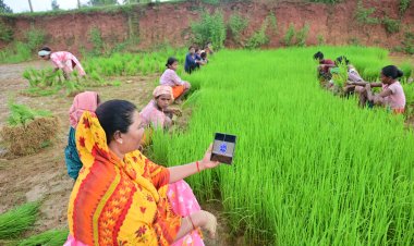 पत्थलगांव विधायक गोमती साय के एक बार फिर दिया, अपनी सादगी और जमीन से जुड़े स्वभाव का परिचय