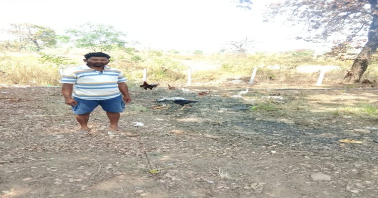 पशुपालन विभाग की ऋण योजना से बदली किसान की किस्मत, मुर्गी पालन से हुआ आर्थिक बदलाव