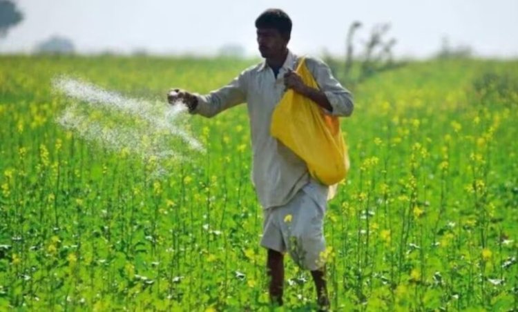 जुलाई में छत्तीसगढ़ को 46,500 टन डीएपी मिली, किसानों को नहीं होगी कमी