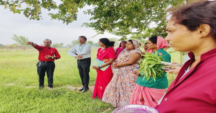 धमतरी मॉडल बना देश के लिए प्रेरणा, औषधीय खेती से महिलाओं की बदली तकदीर….
