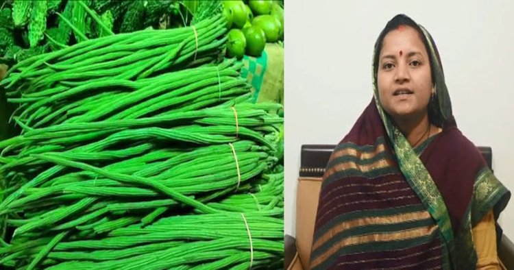 मुनगा बनेगा सुपोषित छत्तीसगढ़ का आधार : राजवाड़े