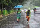 Weather Update: छत्तीसगढ़ में फिर एक्टिव होगा मानसून, कई जिलों में झमाझम बारिश के आसार