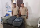 पुलिस के द्वारा पकड़ा गया गांजा सहित टाटा नेक्सों कार मामला पत्थलगांव थाना क्षेत्र अंतर्गत
