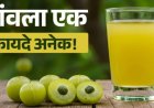 Amla Benefits: 30 दिन तक रोज एक आंवला खाइए, शरीर में दिख सकते हैं ये बदलाव; जानिए खाने का सही तरीका