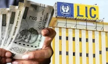 LIC खरीदेगी HDFC Bank में बड़ी हिस्सेदारी, RBI ने दी मंजूरी; 9.99% तक बढ़ सकता है स्टेक, शेयर पर रहेगी नजर