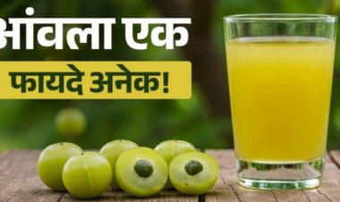 Amla Benefits: 30 दिन तक रोज एक आंवला खाइए, शरीर में दिख सकते हैं ये बदलाव; जानिए खाने का सही तरीका