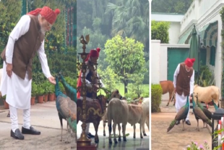 PM मोदी ने इंस्टाग्राम पर ‘दोस्तों’ संग खास पल किए साझा, बोले- ‘हर सुबह उन्हें खाना खिलाना मेरी दैनिक दिनचर्या’