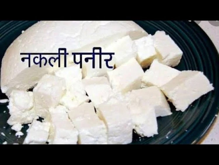 CG FAKE PANEER: नकली पनीर का भंडाफोड़! रायपुर-ओडिशा तक हो रही थी सप्लाई