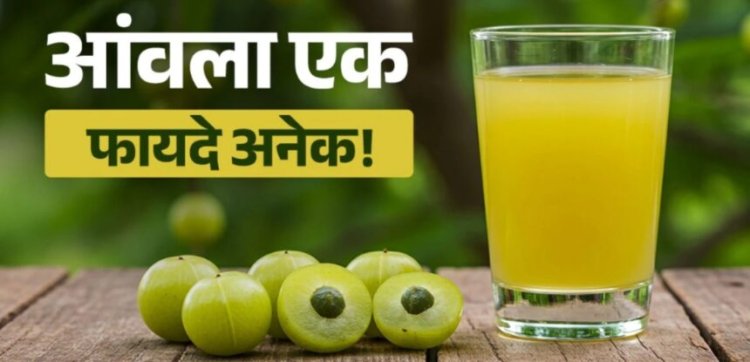 Amla Benefits: 30 दिन तक रोज एक आंवला खाइए, शरीर में दिख सकते हैं ये बदलाव; जानिए खाने का सही तरीका
