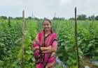 बिहान से ग्रामीण महिलाओं के जीवन में आई आत्मनिर्भरता की नई सुबह