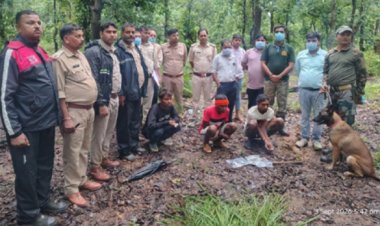 मृत भालू के नाखून काटकर ले जाने वाले दो आरोपी गिरफ्तार, चार नाखून बरामद