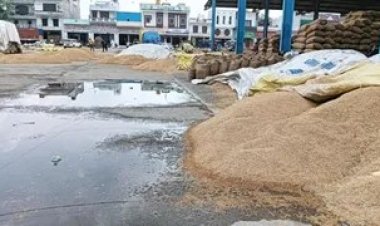 CHHATTISGARH: 488 करोड़ के धान पर बारिश का खतरा! 114 केंद्रों में खुले में पड़ा 1.57 लाख टन अनाज