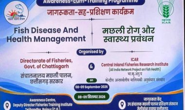 आधुनिक प्रबंधन से बढ़ेगा राज्य में मछली उत्पादन छत्तीसगढ़ में मत्स्य पालन को नई दिशा देने आईसीएआर-सीआईएफआरआई और मत्स्य विभाग की संयुक्त कार्यशाला संपन्न