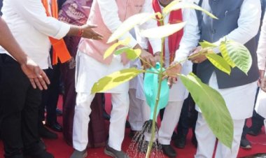 ‘एक पेड़ माँ के नाम’ अभियान से प्रकृति संरक्षण और मातृ सम्मान का संदेश