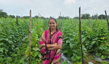 बिहान से ग्रामीण महिलाओं के जीवन में आई आत्मनिर्भरता की नई सुबह